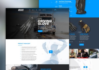 Website Design