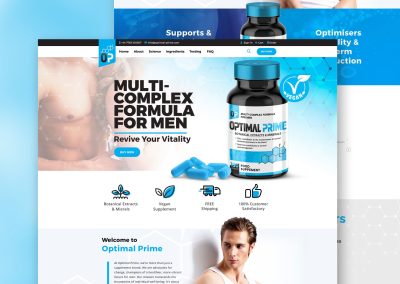 Website Design